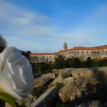 Monasterio Santa Maria de Armenteira 6